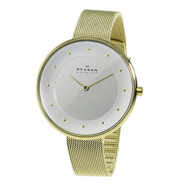 【新品】スカーゲン SKAGEN クオーツ レディース 腕時計 SKW2141 シルバー シルバー