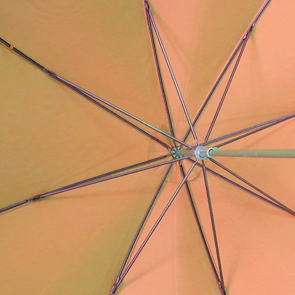 フォックスアンブレラズ FOX UMBRELLAS 傘 レディース SP2 ORANGE オレンジ